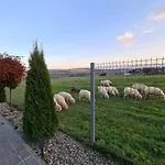 Dom Górskie Ambiente Chalé *